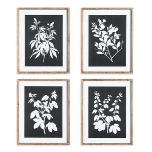 MONOCHROME BOTANICAL PRINTS, SET OF 4