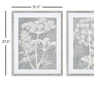 BLOOMING QUEEN ANNE'S LACE PRINTS, SET OF 2