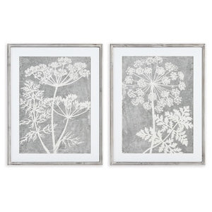 BLOOMING QUEEN ANNE'S LACE PRINTS, SET OF 2