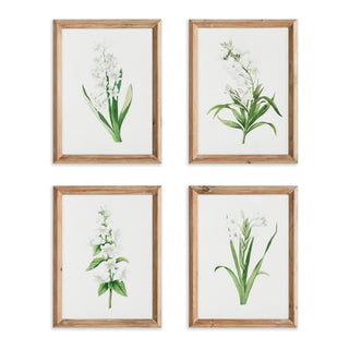 GARDEN BLOOM PRINTS, SET OF 4