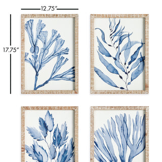 MARINE PRINTS, SET OF 4