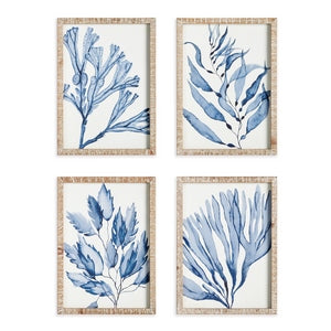 MARINE PRINTS, SET OF 4