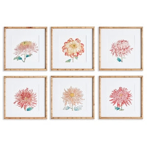 COLORFUL CHRYSANTHEMUM PRINTS, SET OF 6