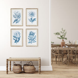 INDIGO PROTEA PRINTS, SET OF 4