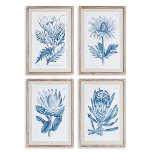 INDIGO PROTEA PRINTS, SET OF 4