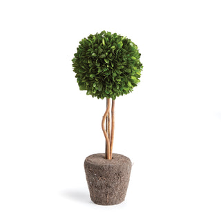 BOXWOOD SINGLE SPHERE TOPIARY DROP-IN 16"