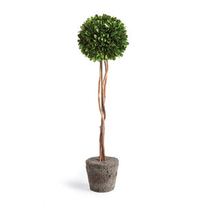 BOXWOOD SINGLE SPHERE TOPIARY DROP-IN 24"