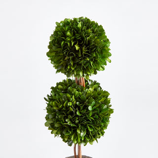 BOXWOOD DOUBLE SPHERE TOPIARY DROP-IN 20"