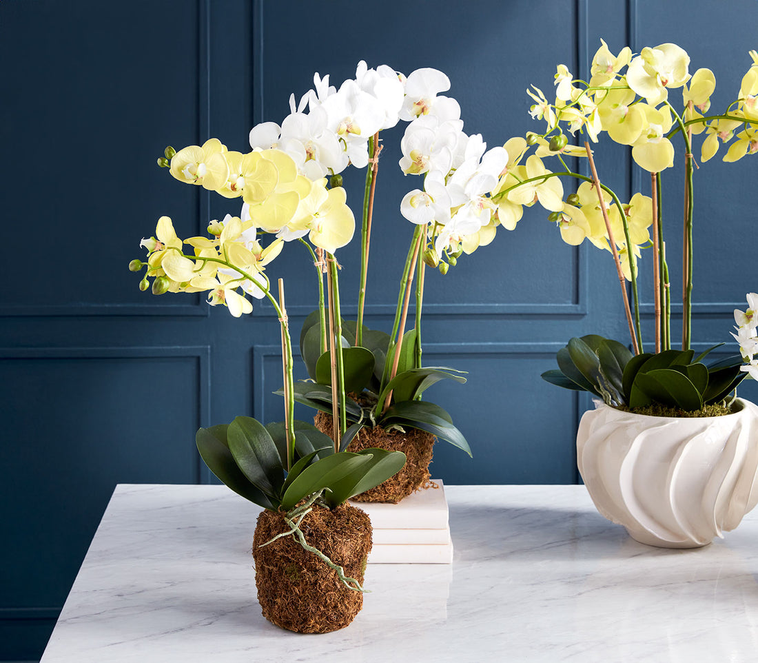 About Napa – Napa Home & Garden