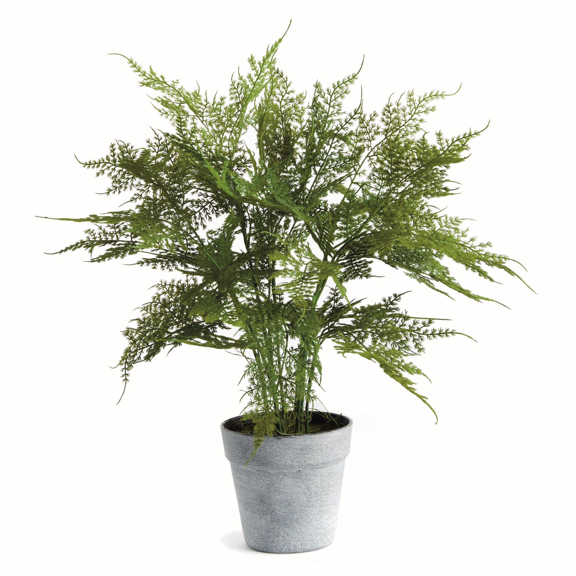 plastic fern plants Plumosa Fern Drop-In 21"