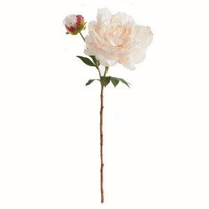 PEONY STEM 21"