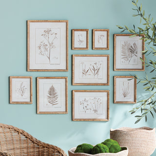 BOTANICAL STUDY IN SEPIA, SET OF 9