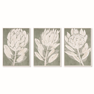 PROTEA TRIPTYCH HAND-EMBELLISHED GICLEES, SET OF 3