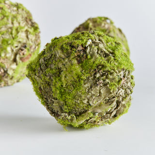 MOSSY LICHEN ORB 4.5"