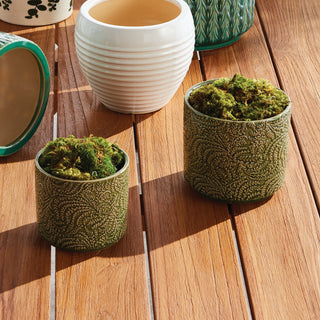 IVANA POTS, SET OF 2