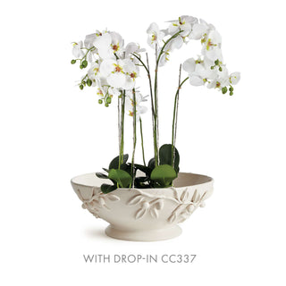 OLIVELLA FOOTED BOWL