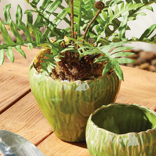 EVELYN POT LARGE