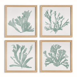 CORAL SILHOUETTES IN SOFT GREEN, SET OF 4