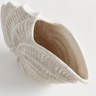 NAUTILUS SHELL VASE