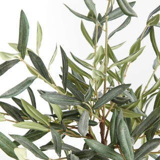 OLIVE TREE DROP-IN 17.5"