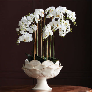 DI ROSA GRANDE FOOTED DECORATIVE BOWL