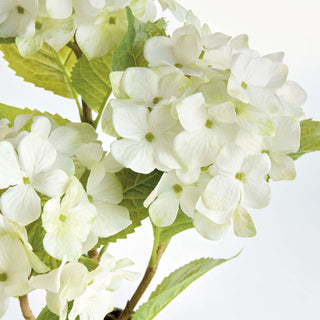 HYDRANGEA DROP-IN 18"