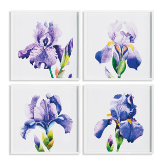 IRIS PRINTS, SET OF 4