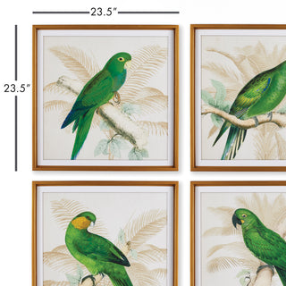 GREEN PARROTS STUDY, SET OF 4