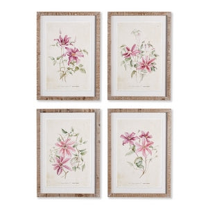 PINK CLEMATIS PRINTS, SET OF 4