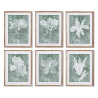 TRANSLUCENT FLORAL PRINTS, SET OF 6