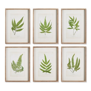 FOREST GREENERY PRINTS, SET OF 6