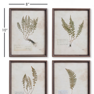 PETITE FROND PRINTS, SET OF 4