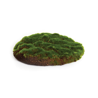 MOSS SHEET ROUND 8"