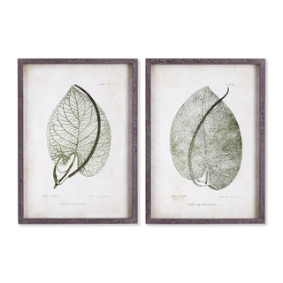 CORDATE LEAF STUDY, SET OF 2