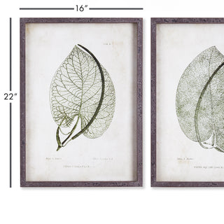 CORDATE LEAF STUDY, SET OF 2