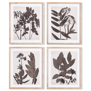 PRESSED FOLIAGE PRINTS, SET OF 4