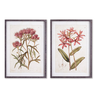 PRETTY IN PINK VINTAGE PRINTS, SET OF 2