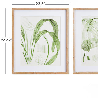 AQUATIC LEAF PRINTS, SET OF 2