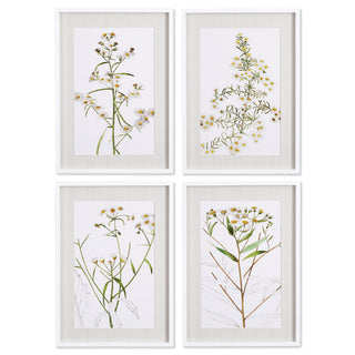 DAISY PRINTS, SET OF 4