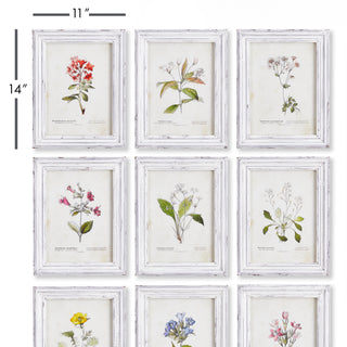 GARDEN MEADOW STUDY, SET OF 9