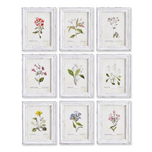 GARDEN MEADOW STUDY, SET OF 9