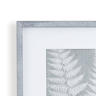 FERN FROND PRINTS, SET OF 3