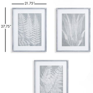 FERN FROND PRINTS, SET OF 3