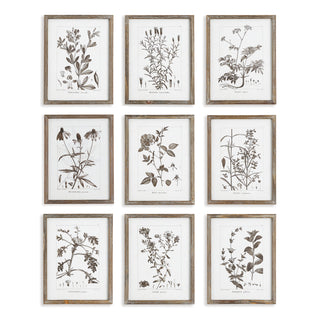 RUSTIC FOLIAGE STUDY, SET OF 9