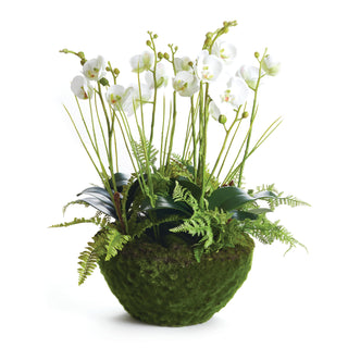 PHALAENOPSIS & FERN DROP-IN 21"